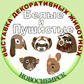 ������ � �������� � ������������