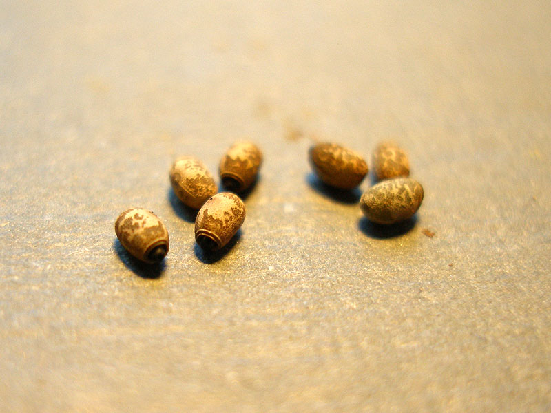 PB070029.jpg