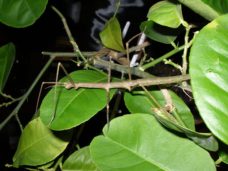 PB100028.jpg