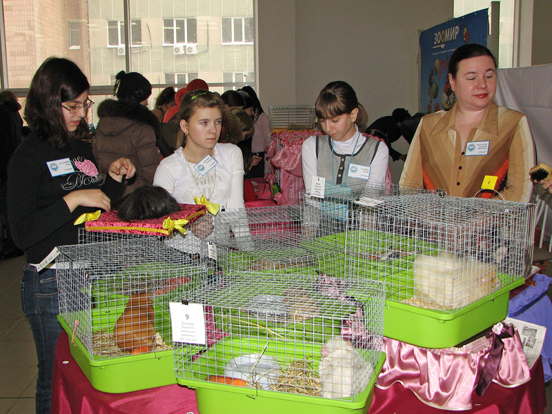 IMG_3628.jpg