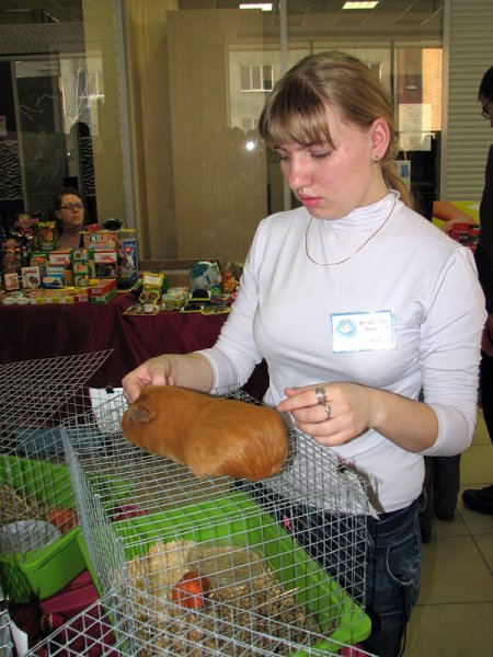 IMG_3663.jpg