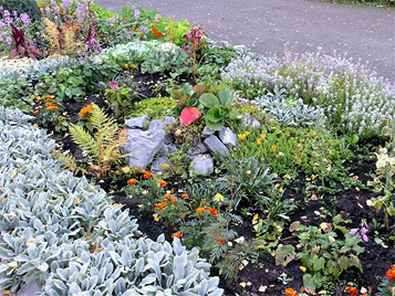 ��������-������������ ���������� ������-�������� ������� ����� � 25